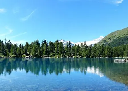 Selva * Poschiavo